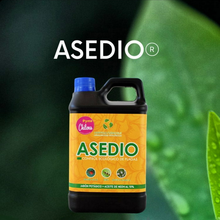 Aceite de neem + jabón potásico como control ecológico contra las